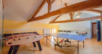 Les gîtes du Manoir Les Touches_Doué-en-Anjou - salle de jeux_7 Les gîtes du Manoir Les Touches_Doué-en-Anjou - salle de jeux_7