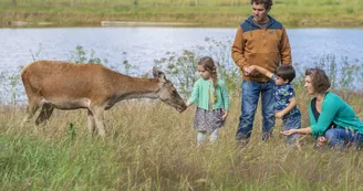 cerfs-fardelliere-valanjou-chemille-anjou-osez-mauges-nantes-angers-cholet cerfs-fardelliere-valanjou-chemille-anjou-osez-mauges-nantes-angers-cholet