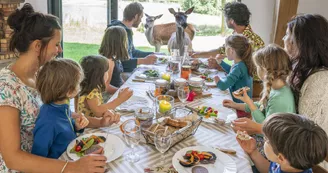 famille-repas-biche-insolite famille-repas-biche-insolite