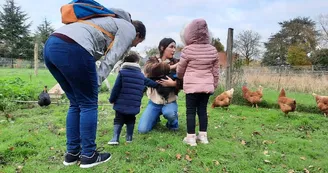 animaux-poule-automne-ferme-pedagogique-turmeliere-lire-oa-osezmauges-©MMinard (1) animaux-poule-automne-ferme-pedagogique-turmeliere-lire-oa-osezmauges-©MMinard (1)
