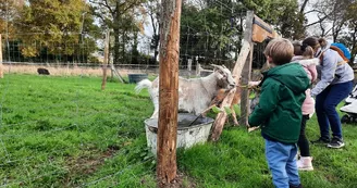 automne-ferme-pedagogique-turmeliere-lire-oa-osezmauges-©MMinard (33) automne-ferme-pedagogique-turmeliere-lire-oa-osezmauges-©MMinard (33)