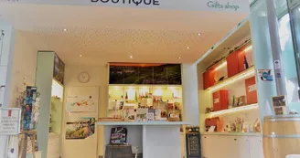 boutique (1) boutique (1)