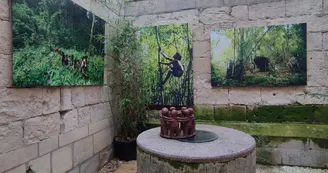 Espaces Anako - Château Musée de la Reine de Sicile - Courette chasseurs-cueilleurs_6