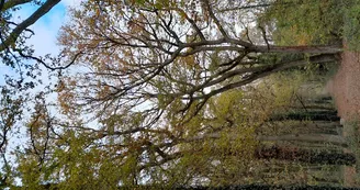 Parc Poumons Verts Parc Poumons Verts