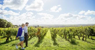 https://reservation.destination-angers.com/medias/images/prestataires/2891805-balade_dans_les_vignobles_de_savennieres_1763847.jpg_3 https://reservation.destination-angers.com/medias/images/prestataires/2891805-balade_dans_les_vignobles_de_savennieres_1763847.jpg_3