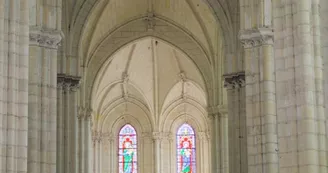 Collegiale du Puy-Notre-Dame - Nef Collegiale du Puy-Notre-Dame - Nef