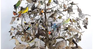 musee-denais-arbres-oiseaux-xixe-siecle-800-122502 musee-denais-arbres-oiseaux-xixe-siecle-800-122502