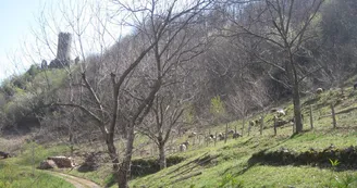La ferme de Chadenac