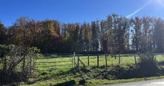 Gîte de Groupe Le Bois Mal Gîte de Groupe Le Bois Mal