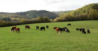 Randier Farm Randier Farm
