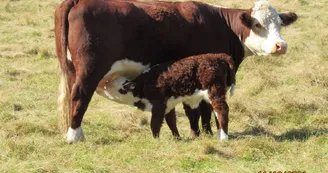 Randier Farm Randier Farm