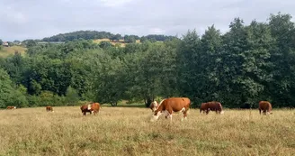 Randier Farm Randier Farm