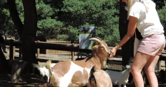 Parc animalier des Gorges de l'Ardèche