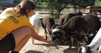 Parc animalier des Gorges de l'Ardèche
