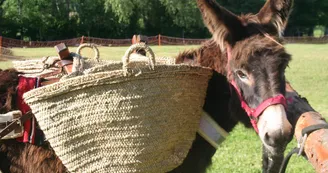 Camping à la Ferme