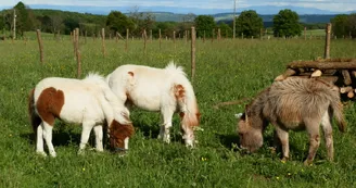 Camping à la Ferme