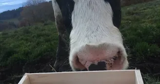 GAEC de Barnaudière - Lait délices de Lucie GAEC de Barnaudière - Lait délices de Lucie
