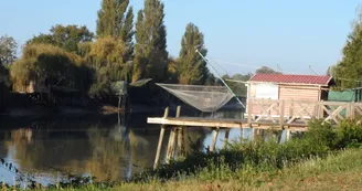Saint-Savinien-sur-Charente Saint-Savinien-sur-Charente