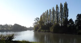 Saint-Savinien-sur-Charente Saint-Savinien-sur-Charente