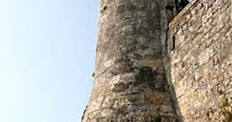 Saint-Savinien-sur-Charente Saint-Savinien-sur-Charente