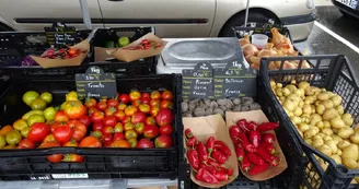 Marché bio de Puymoyen Marché bio de Puymoyen