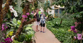 Les Antilles de Jonzac Les Antilles de Jonzac