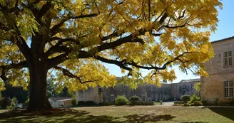 Abbaye de Sablonceaux