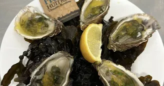 Aubier Marée Aubier Marée