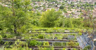 Les jardins de Hurlevents Les jardins de Hurlevents