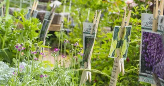 Les jardins de Hurlevents Les jardins de Hurlevents