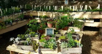 Les jardins de Hurlevents Les jardins de Hurlevents