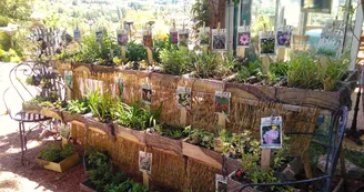 Les jardins de Hurlevents Les jardins de Hurlevents
