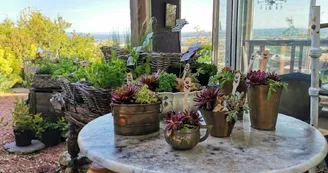 Les jardins de Hurlevents Les jardins de Hurlevents