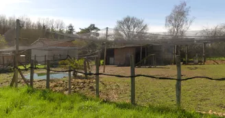 Le sanctuaire des poids plumes Le sanctuaire des poids plumes