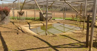 Le sanctuaire des poids plumes Le sanctuaire des poids plumes