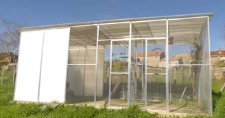 Le sanctuaire des poids plumes Le sanctuaire des poids plumes
