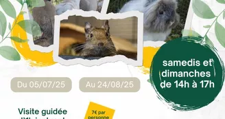 Le sanctuaire des poids plumes Le sanctuaire des poids plumes