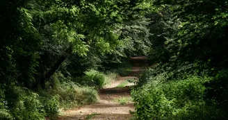 Trail n°29 - Busset Trail n°29 - Busset