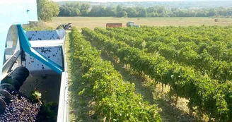 Domaine des Bragalous Domaine des Bragalous
