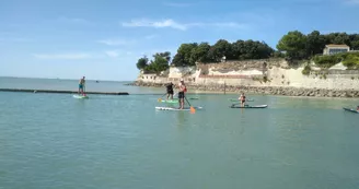 Location de kayak et Stand Up Paddle