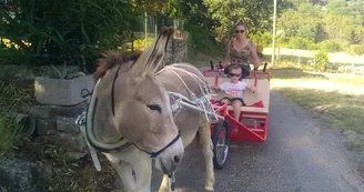 Randonnée avec un âne 4 jours - Carab'âne
