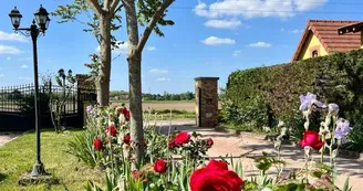 Les Lys