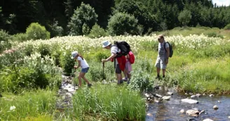 Balade et pique nique au bord de la rivière avec mon âne