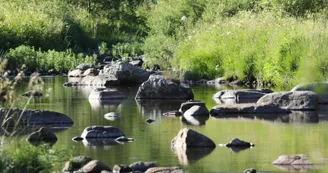 Balade et pique nique au bord de la rivière avec mon âne