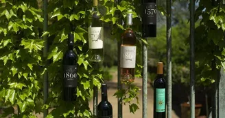 Château des Lèbres Château des Lèbres