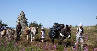 Balade avec un âne Balade avec un âne