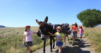 Balade avec un âne Balade avec un âne