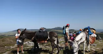 Balade avec un âne Balade avec un âne