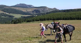 Balade avec un âne Balade avec un âne