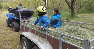 Camping rural les Amandiers Camping rural les Amandiers